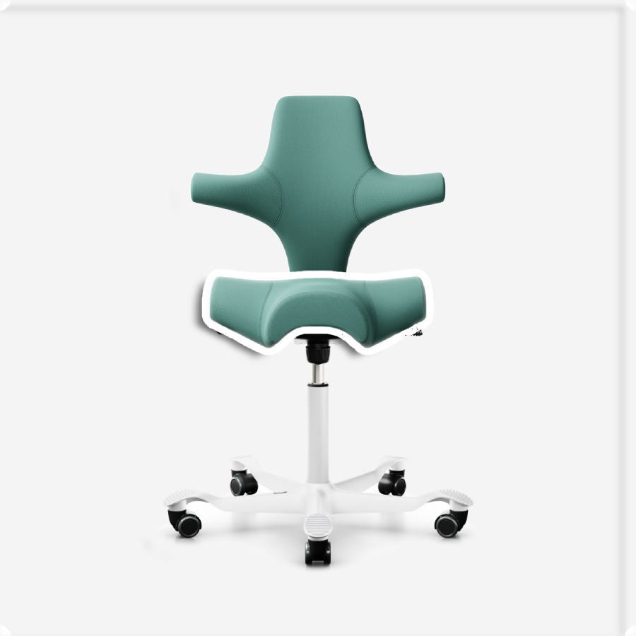 HÅG CAPISCO UPHOLSTERY 8106 /8105/8107