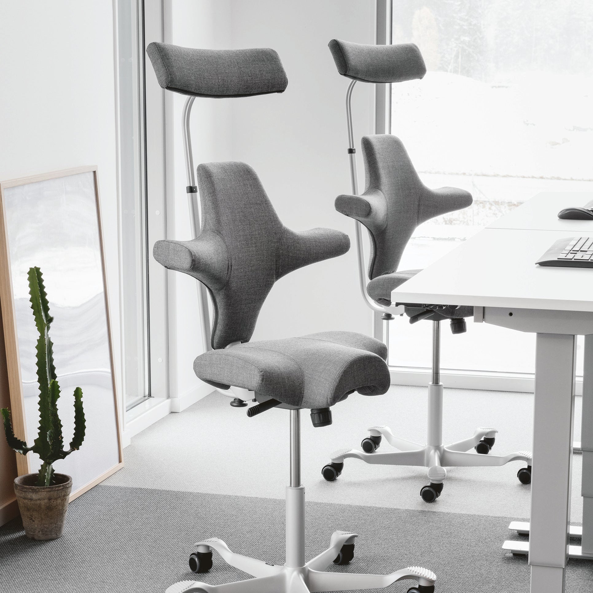2 ergonomic office chairs with saddle seats Hag Capisco 8107 in grey
