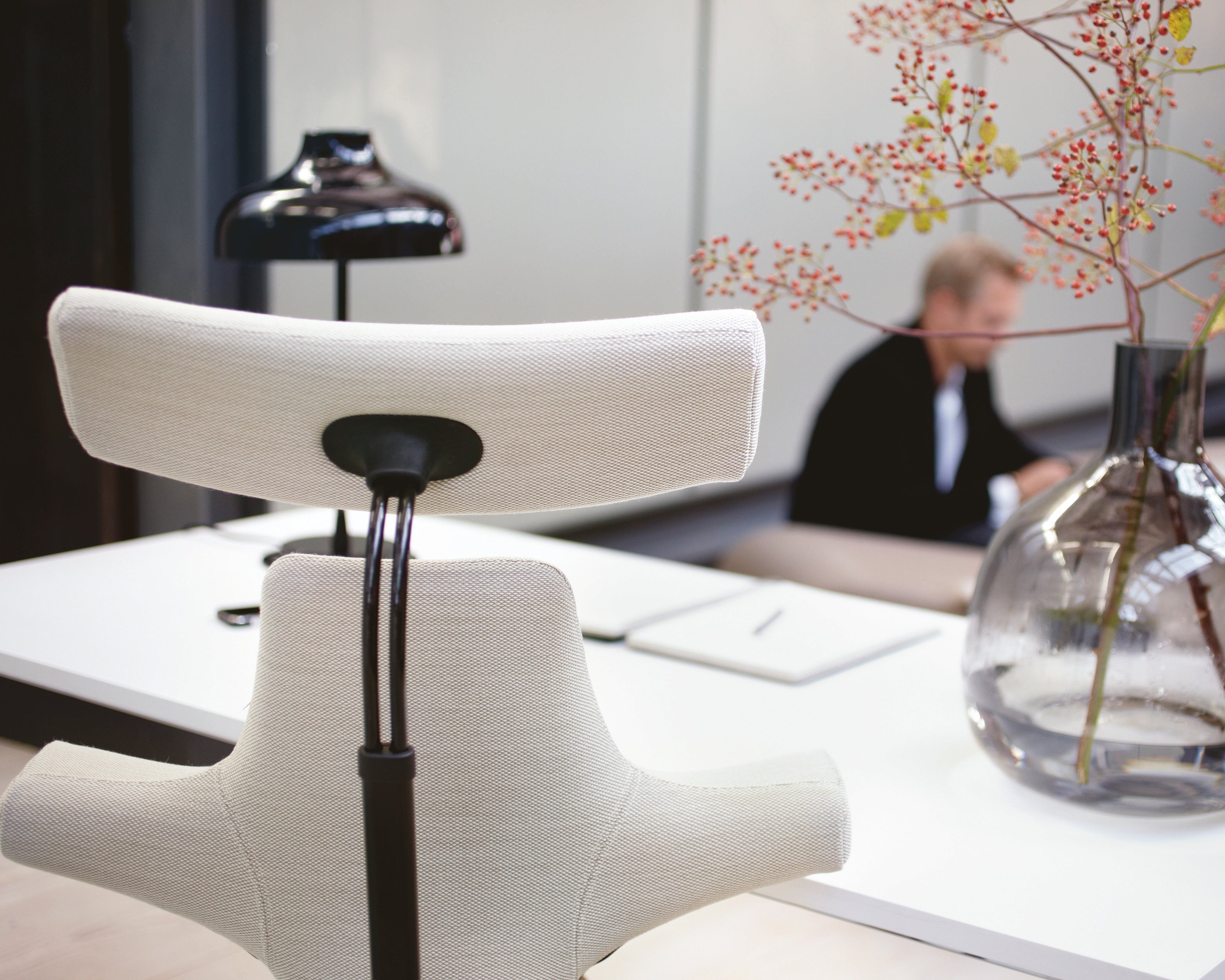 Croped Backshot of Capisco 8107 (light grey, almost white)