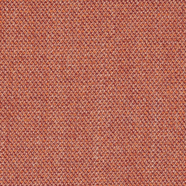 CPT4301 Coral