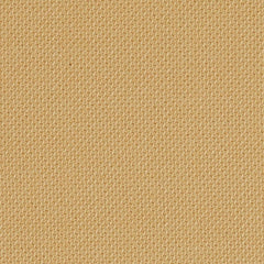 SC62097 Light ochre