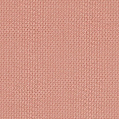 SC64213 Light blush
