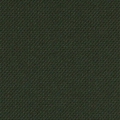 SC68209 Dark green