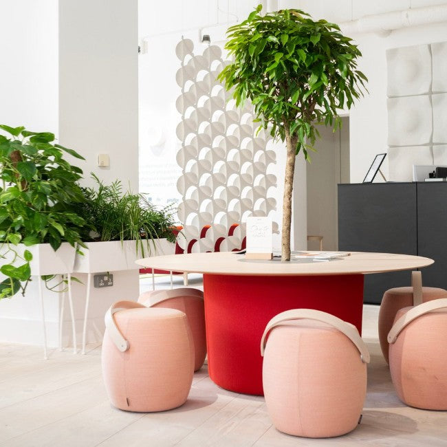 Carry On - Offecct